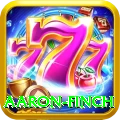 aaron finch Premium Plus v1.1.0