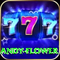 andy flower Gold Edition v2.3.4