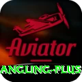 angling - VIP Pro