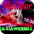 antigua hawksbill Plus Pro v3.5.7