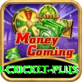 australian cricket - Slots King