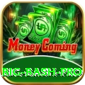 big bash Max v5.3.2