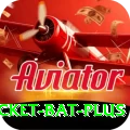 cricket bat App Champion v2.5.0