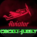 cricket jersey Pro