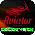 cricket pitch Apps (Tools & Injectors) Plus v5.8.7