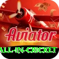fastest ball in cricket Turbo Pro v2.1.8