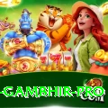 gautam gambhir Jackpot Champion v1.1.8
