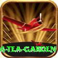 hile ilam tea garden Gold v5.1.3