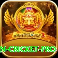 india pakistan cricket - Max Edition v4.5.6