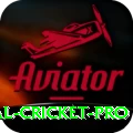 international cricket App Max v1.3.7
