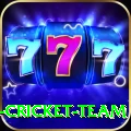 ireland cricket team Premium Plus v3.8.7