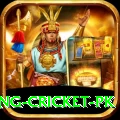 make money betting cricket pk VIP Pro v1.5.8