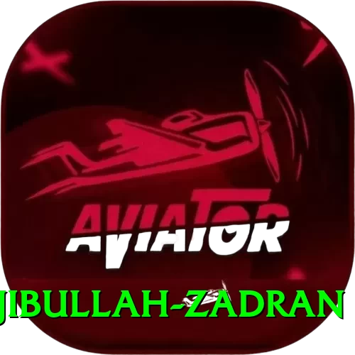 najibullah zadran Pro v4.9.4 - 2