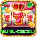 online cricket Pro1 v3.9.7