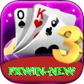 pkwin Gold Pro vv5.4.0