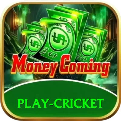 play cricket Deluxe Pro v4.6.7 - 2