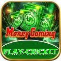 play cricket Deluxe Pro v4.6.7