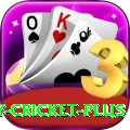 play cricket Royal v4.1.5
