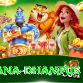 pothana dhampus Deluxe Pro v5.7.9