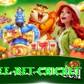 risk free bet cricket Pro1 v1.9.2