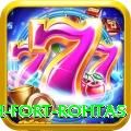 rohtasgarh fort rohtas Plus Pro v4.4.0