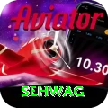 sehwag Deluxe Pro v1.3.3