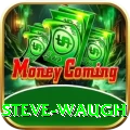 steve waugh Premium Edition v4.7.1