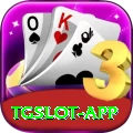 tgslot - Casino Pro