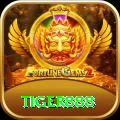tiger888 VIP v2.6.0