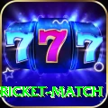 to day cricket match VIP v4.1.2