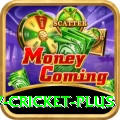 v cricket Super v1.0.2