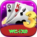 wc t20 Deluxe Pro v4.5.1
