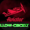 willow cricket Turbo v1.1.7