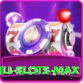 Winli Slots Slot Machine Premium