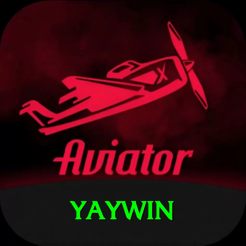 yaywin Premium Edition v5.5.8 - 2
